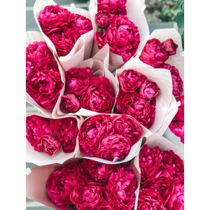 Pink peónia csokor “M”
